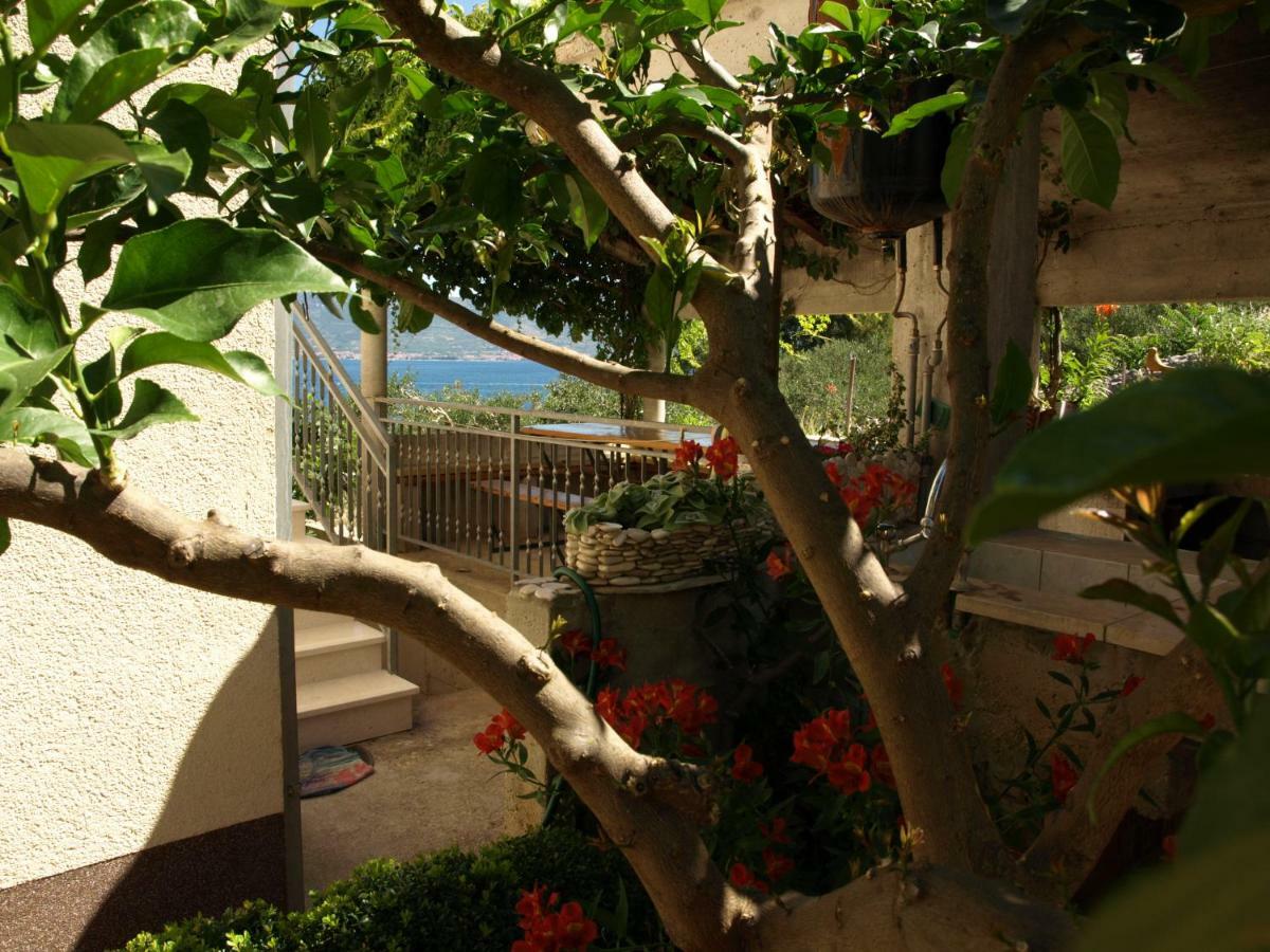 Apartment Ljilja *