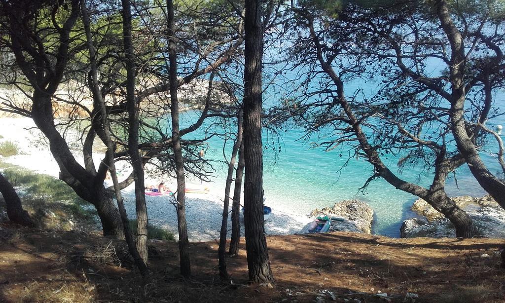 Apartament Ljilja Sea View Slatine