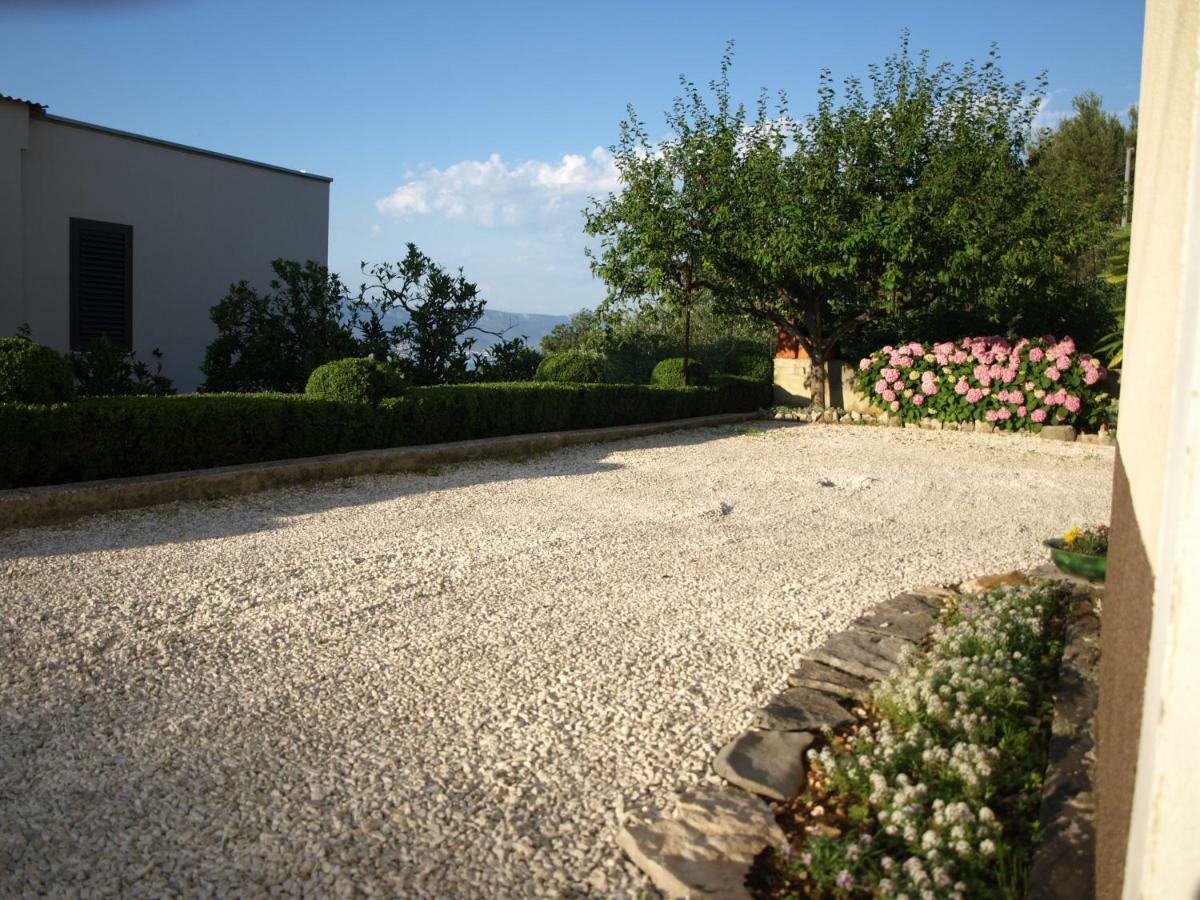 Apartament Ljilja Sea View *