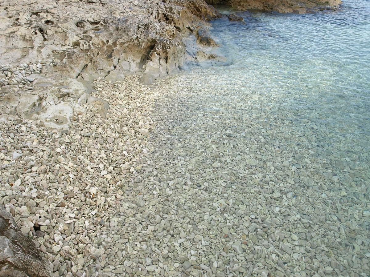 Ljilja Sea View